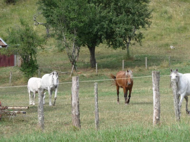 2 Chambres D'Hotes Privees Louees Separement Avec Communs A Partager Beaufort  Εξωτερικό φωτογραφία